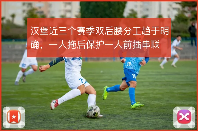 汉堡近三个赛季双后腰分工趋于明确,一人拖后保护一人前插串联