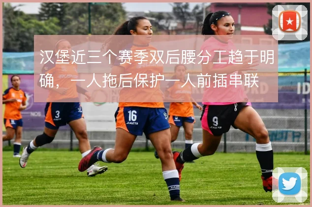 汉堡近三个赛季双后腰分工趋于明确,一人拖后保护一人前插串联
